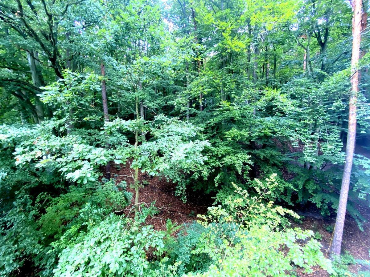 Forest - 23 Marca Sopot By Grand Apartments Εξωτερικό φωτογραφία